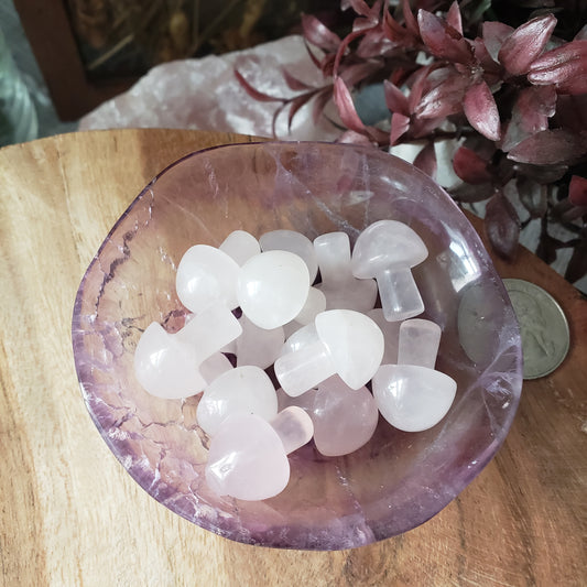 Mini Crystal Mushrooms β§ Rose Quartz