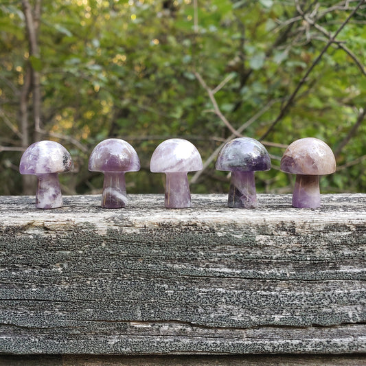 Mini Crystal Mushrooms β§ Amethyst