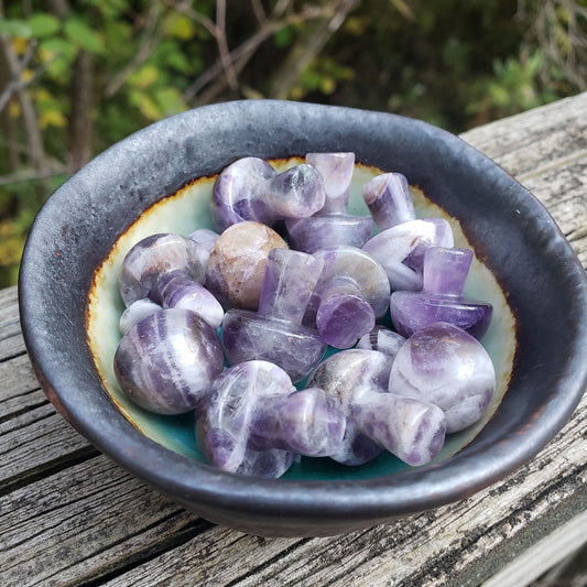 Mini Crystal Mushrooms β§ Amethyst