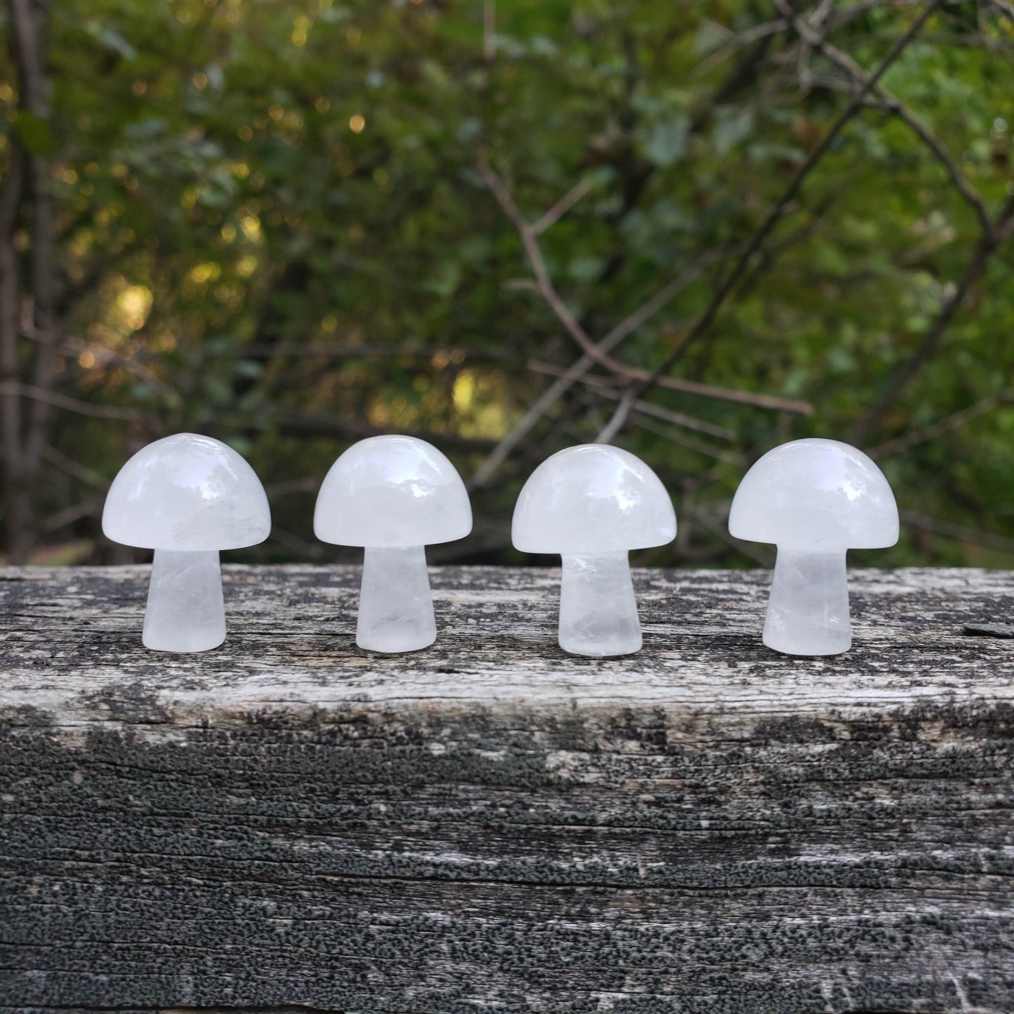 Mini Crystal Mushrooms ✧ Clear Quartz