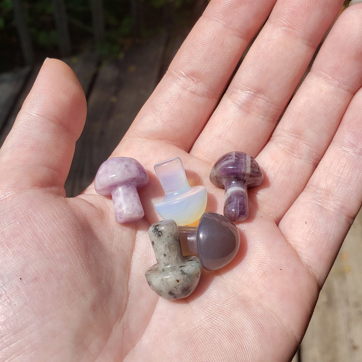 Mini Crystal Mushrooms ✧ Amethyst