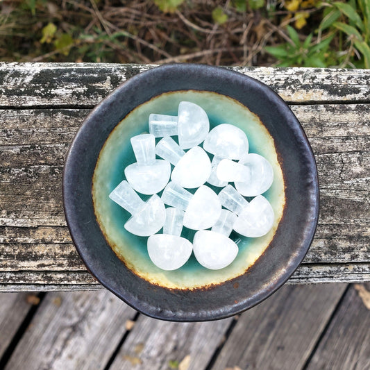 Mini Crystal Mushrooms ✧ Clear Quartz